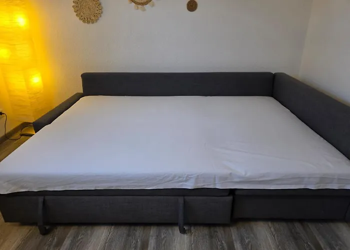 264 Gemuetliche In * 卡斯特罗普-劳克塞尔