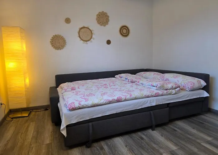 264 Gemuetliche In * 卡斯特罗普-劳克塞尔